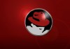 Red Hat Enterprise Linux 6.2, disponible
