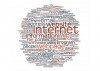 Las cifras de Internet en 2011 (Profesional)