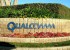 Qualcomm compra Pixtronix