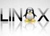 ¿Necesitas empleo? un estudio dice que aprendas Linux
