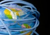 Informe técnico: la economía de las redes