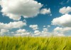 Dónde alojar la nube