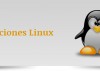Las soluciones Linux pueden reducir hasta un 80% los gastos de software y hardware