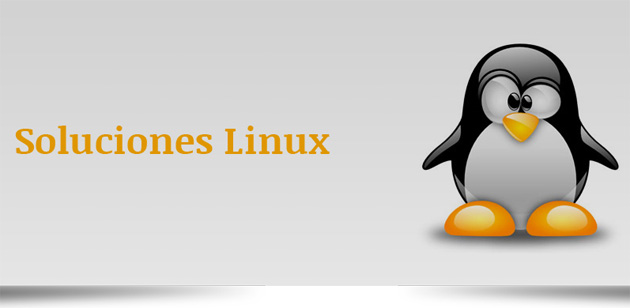Las soluciones Linux pueden reducir hasta un 80% los gastos de software y hardware