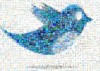 Twitter ¿es un canal de comunicación real?