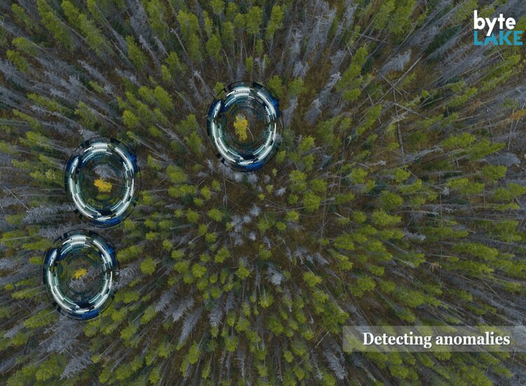 Lenovo colabora en la lucha contra la deforestación gracias a la Inteligencia Artificial