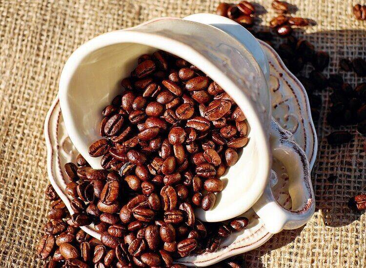 Lenovo colabora, con la IA como ingrediente secreto, en la selección del café perfecto