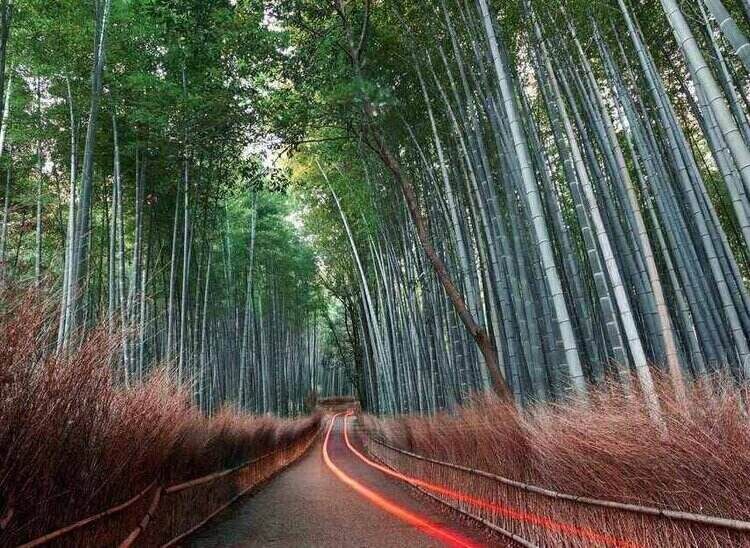 Lenovo cero emisiones netas