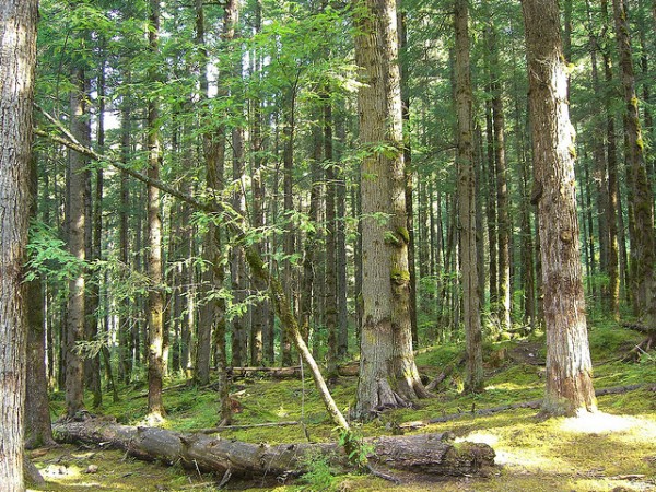 1654522347_90b56109a5_z