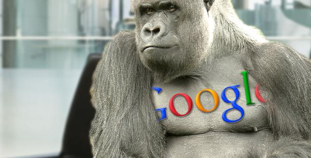 Google Photos Gorillas fallo