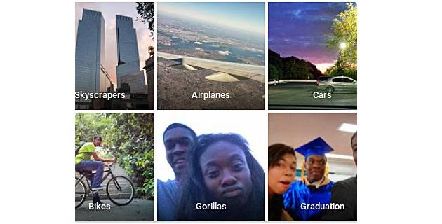 Google Photos Gorillas