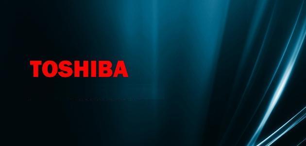 Toshiba encuentra financiación