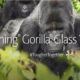https://www.muycomputerpro.com/2018/07/19/corning-gorilla-glass-6