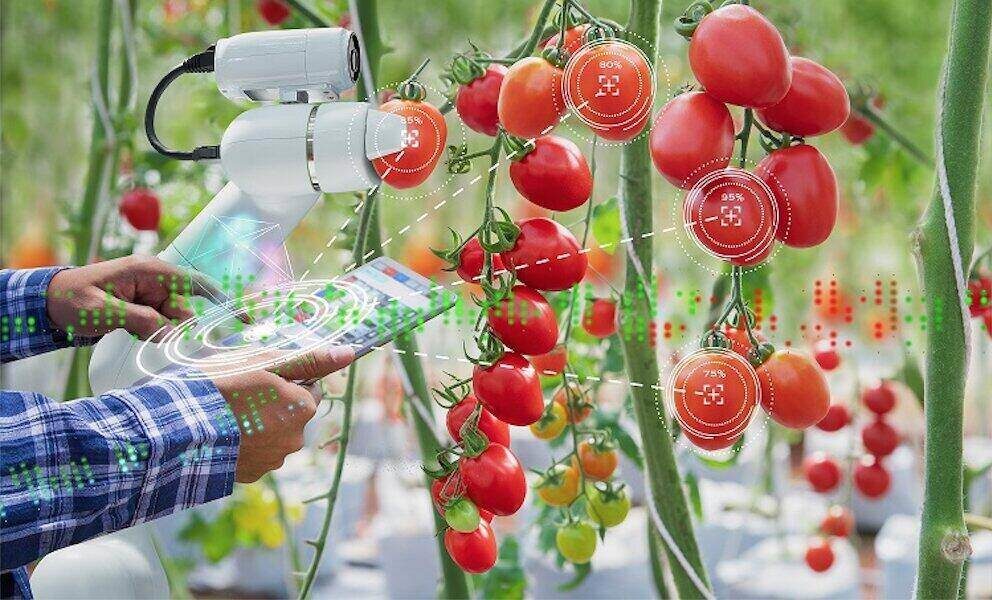 AgrarIA, un proyecto de impulso a la aplicación de la IA en la cadena de producción agroalimentaria