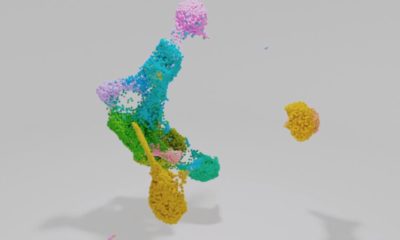 https://www.geekwire.com/2022/allen-institute-and-google-team-up-to-build-platform-exploring-the-immune-system