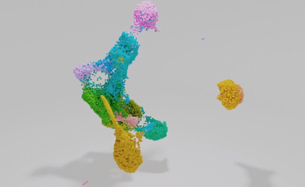 https://www.geekwire.com/2022/allen-institute-and-google-team-up-to-build-platform-exploring-the-immune-system