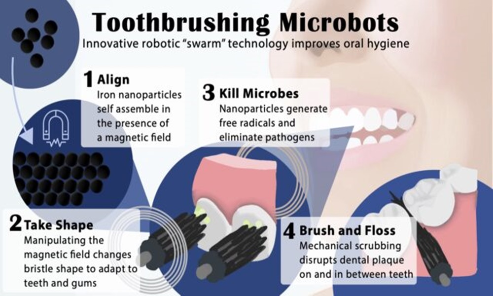 Científicos de EEUU crean un cepillo de dientes programable con nanopartículas