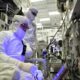 Intel a punto de conseguir un acuerdo para construir una fábrica de chips en Italia