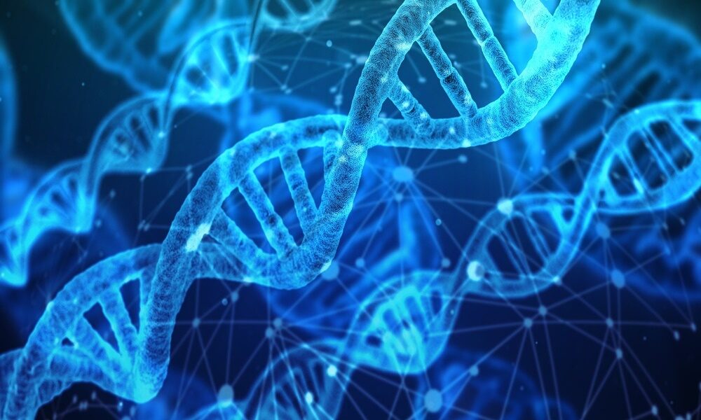 Avanza el proyecto de almacenamiento de datos digitales en cadenas de ADN