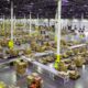 Amazon compra el fabricante de maquinaria de almacén y robótica Cloostermans