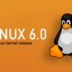 Llega Linux 6.0 y estas son todas sus novedades
