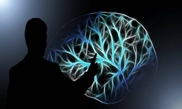 Un grupo de científicos crea un sistema de IA capaz de interpretar los ...