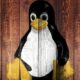 Estas son las 5 distribuciones de Linux más populares en las empresas en 2023