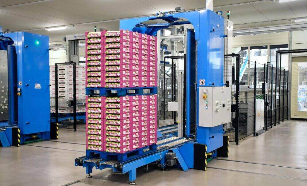 La mitad de las empresas de la cadena de suministro implantarán IA generativa antes de 12 meses