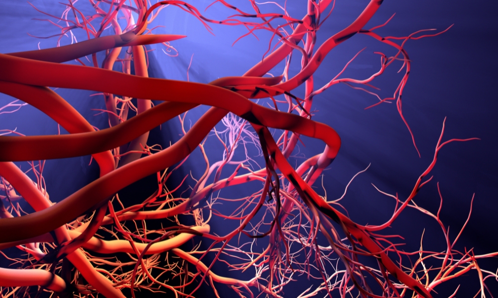 vasos sanguíneos por impresión 3d