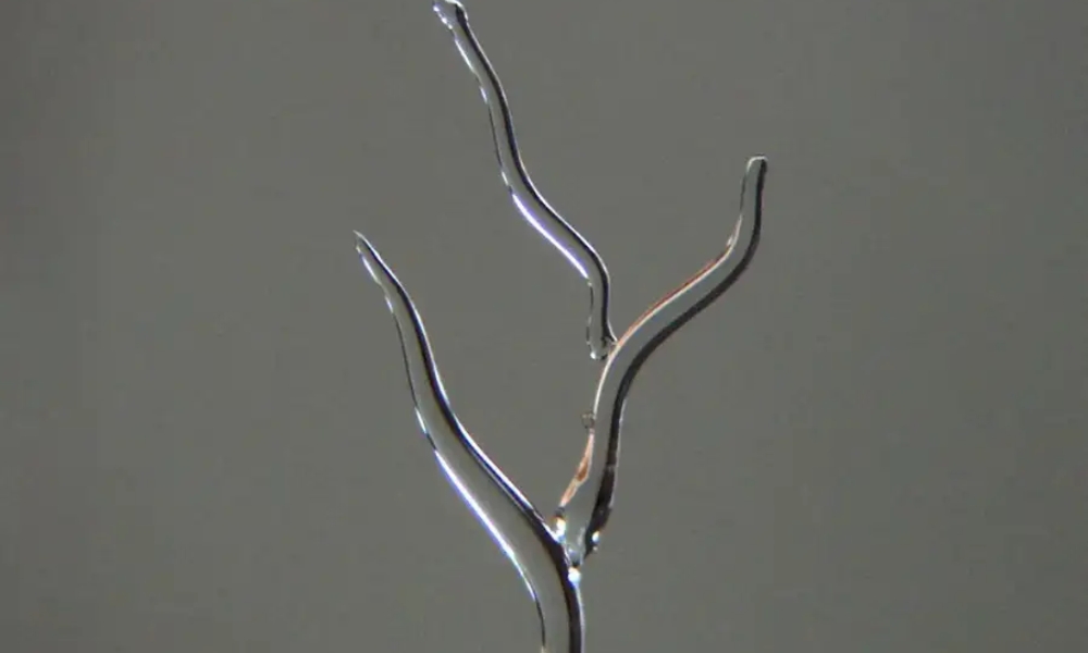 vasos sanguíneos, impresión 3d