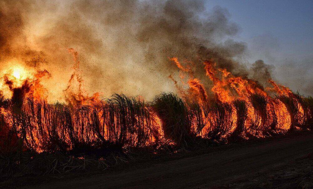 Alphanet Solutions y Securitas desarrollan un sistema de detección temprana de incendios con IA e IoT