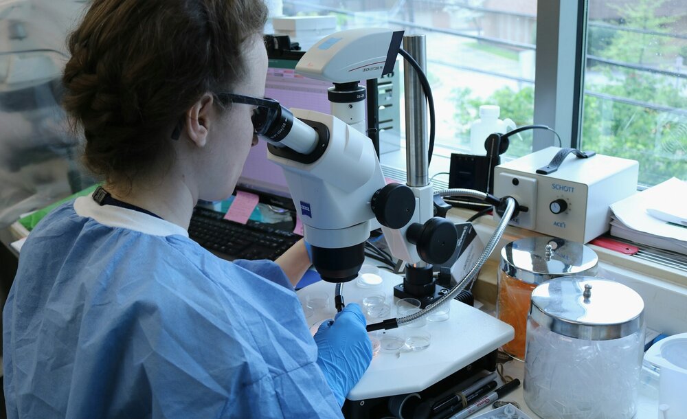 Desarrollan una IA capaz de predecir más de 1.000 enfermedades con décadas de antelación