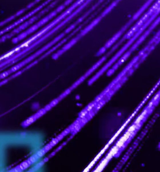 desarrollo nativo de IA