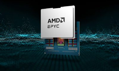 procesadores EPYC 8005
