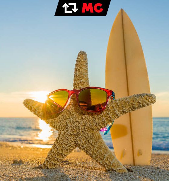 Recursos online imprescindibles para tus merecidas vacaciones
