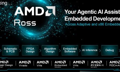 AMD Ross portada