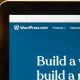 La Junta Directiva de Automattic fuerza la salida de Matt Mullenweg como CEO